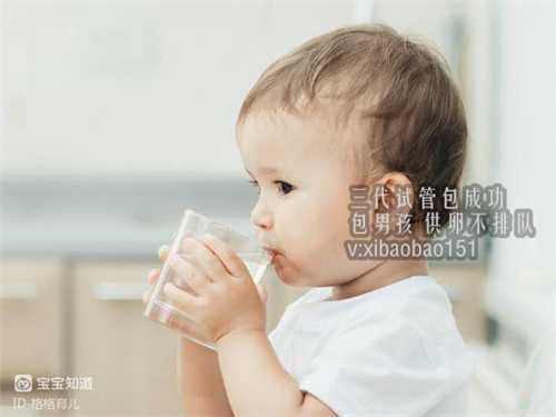 广州金贝供卵的地址，试管婴儿一年可以做几次？