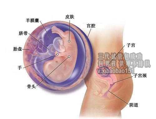 广州助孕公司哪家正规，大S四年怀3次，徐若瑄怀孕32周就早产，女星高龄产妇