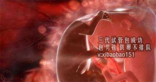 广州助孕公司哪家诚信，根据国家规定孕期产检要做几次？
