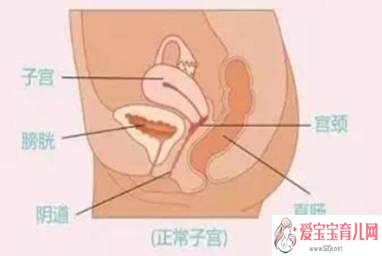 <b>广州助孕产子公司标准，产检要不要说试管婴儿,产检要不要告诉医生是试管婴</b>